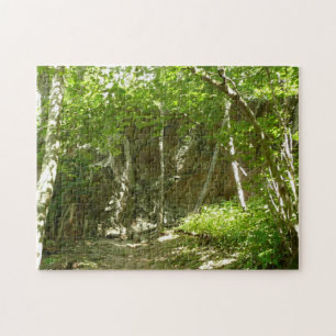 Puzzle Sendero de Descubrimiento Frazier en Shenandoah Fo