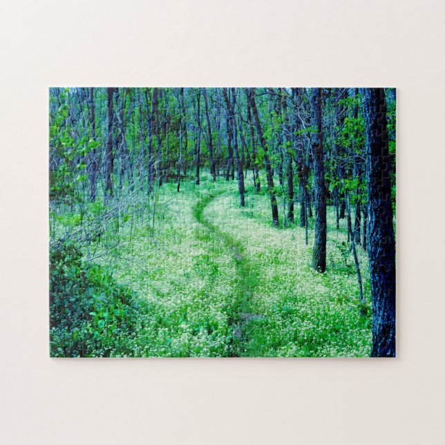 Puzzle Sendero de los Apalaches Virginia. (Horizontal)