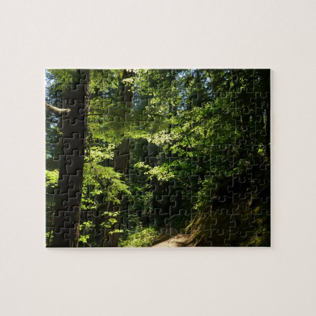 Puzzle Sendero desde Silver Falls (Horizontal)