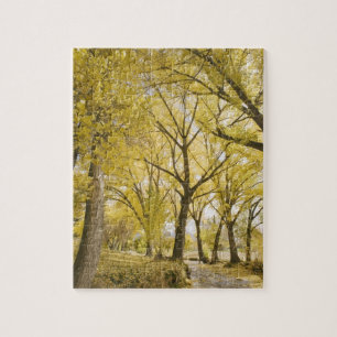 Puzzle Sendero en bosques, Parque Sugarhouse, Salt Lake C