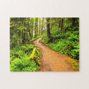 Puzzle Sendero en Forest Park