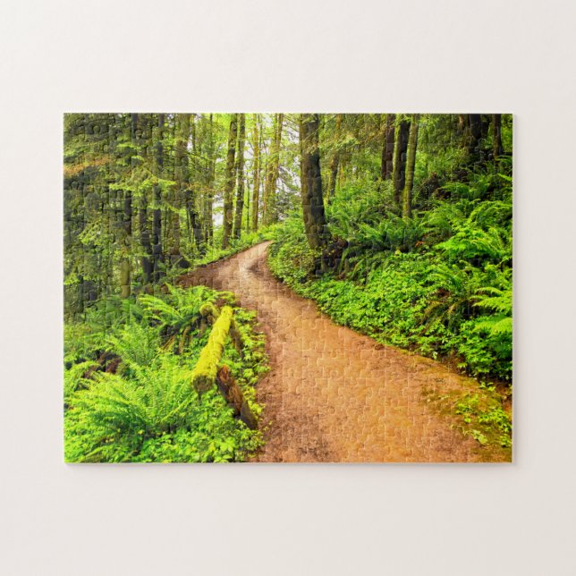 Puzzle Sendero en Forest Park (Horizontal)