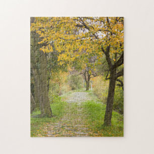 Puzzle Sendero en otoño