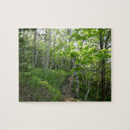 Puzzle Sendero forestal en el Parque Nacional Acadia