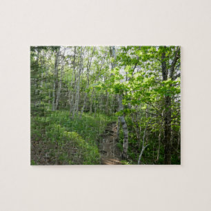 Puzzle Sendero forestal en el Parque Nacional Acadia