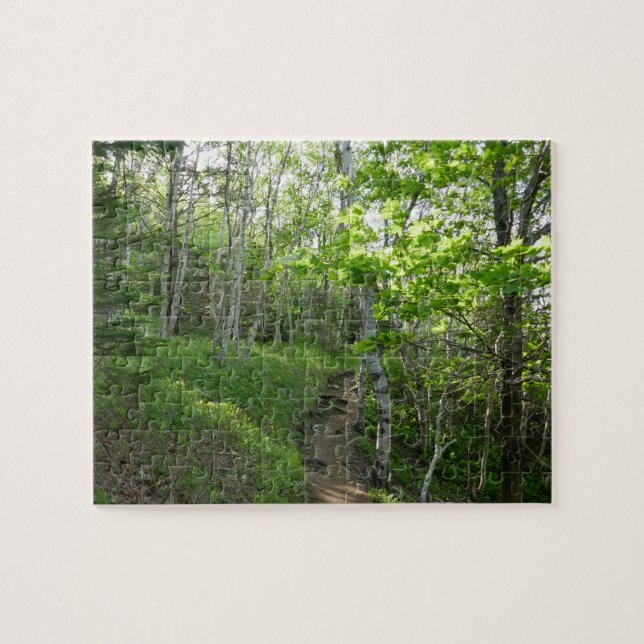 Puzzle Sendero forestal en el Parque Nacional Acadia (Horizontal)