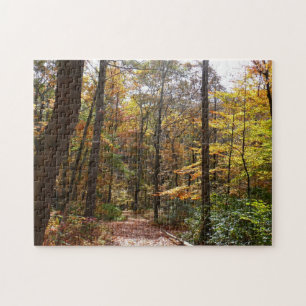 Puzzle Sendero Sunlit Fall en el Parque Estatal Laurel Hi