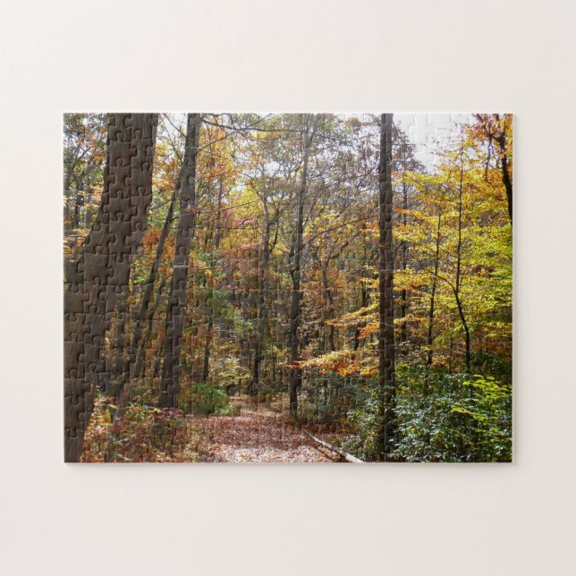 Puzzle Sendero Sunlit Fall en el Parque Estatal Laurel Hi (Horizontal)