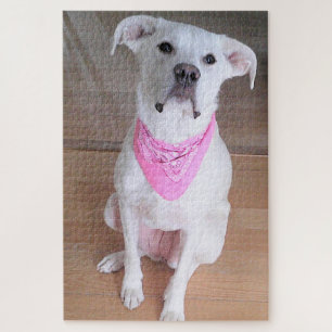 Puzzle Sentado de perros blancos y con una funda rosada