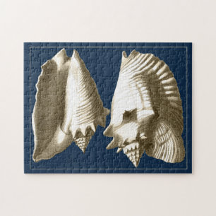 Puzzle Sepia Conch Seasheles