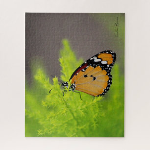 Puzzle Serie de la mariposa - mariposa de monarca