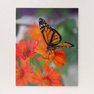 Puzzle Serie de mariposas - Mariposa monarca