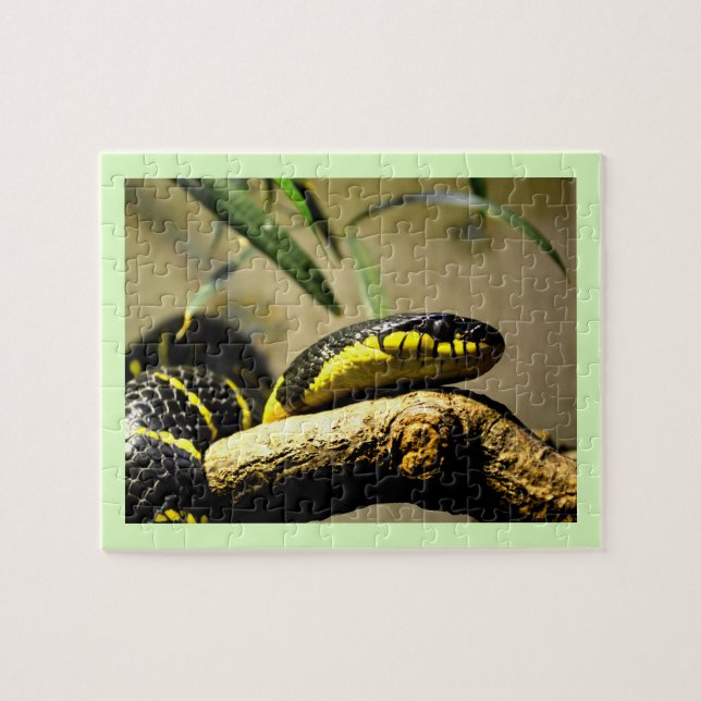 Puzzle Serpiente (Horizontal)