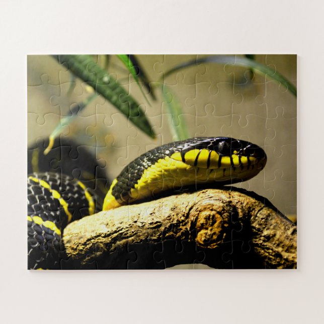 Puzzle Serpiente (Horizontal)