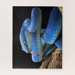 Puzzle Serpiente azul