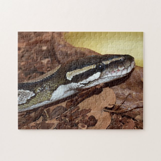 Puzzle Serpiente de Ball Python (Horizontal)