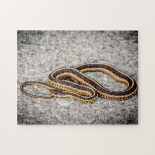 Puzzle Serpiente de Cinta Oriental (Serpiente Garter)