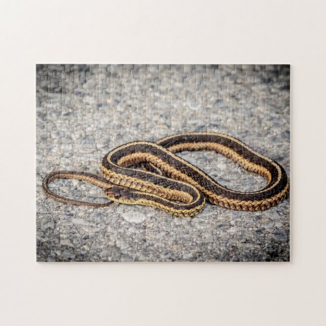 Puzzle Serpiente de Cinta Oriental (Serpiente Garter) (Horizontal)