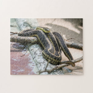 Puzzle Serpiente de liga