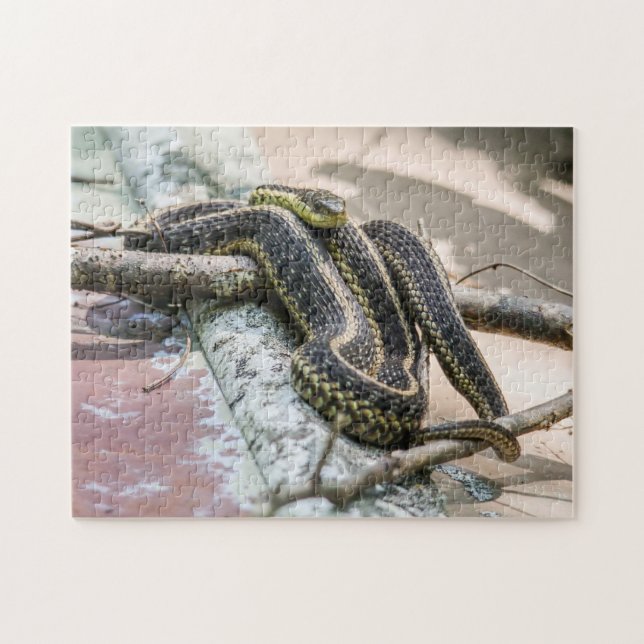 Puzzle Serpiente de liga (Horizontal)