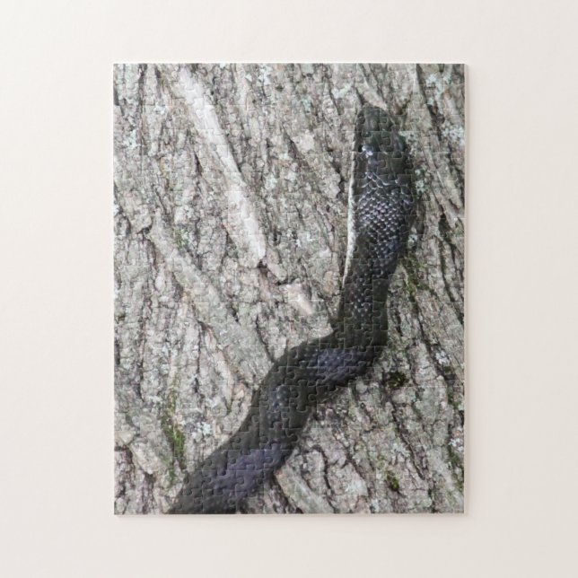 Puzzle Serpiente de rata negra (Vertical)