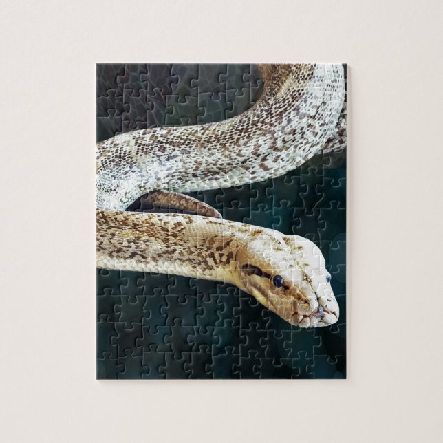 Puzzle Serpiente del pitón (Vertical)