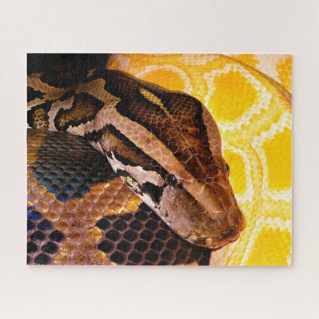 Puzzle Serpiente Python birmana (Horizontal)