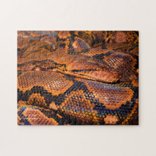Puzzle Serpiente Python Boa