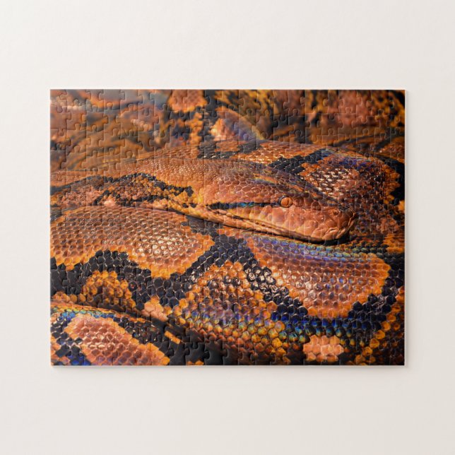 Puzzle Serpiente Python Boa (Horizontal)