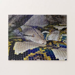 Puzzle Serpiente Python retilada