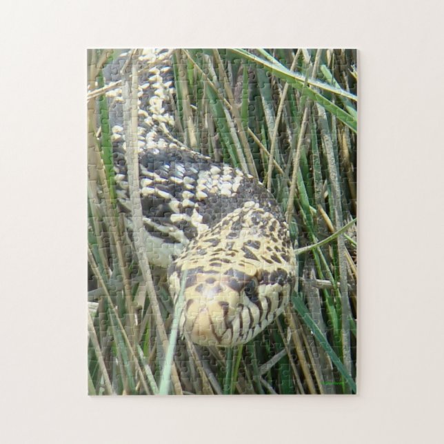 Puzzle Serpiente toro R4 (Vertical)