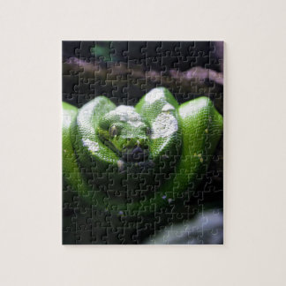 Puzzle Serpiente verde