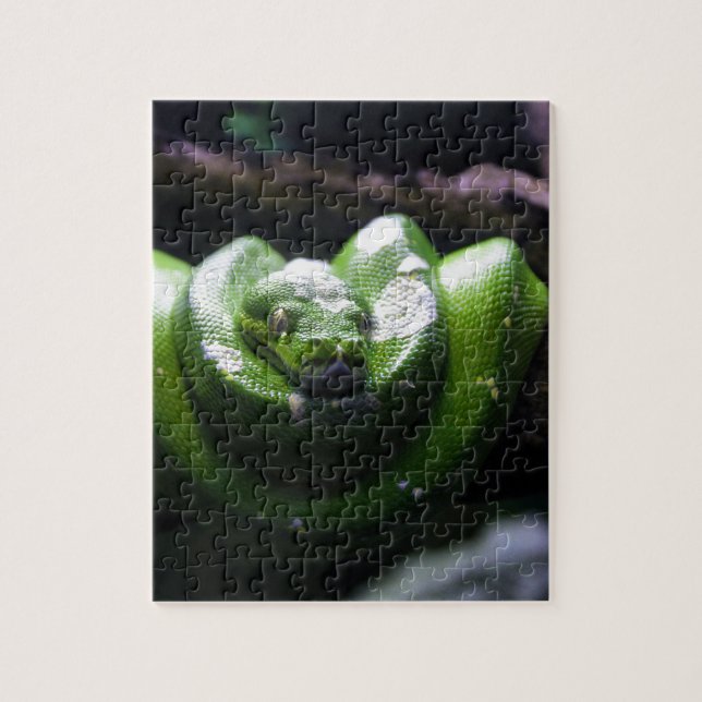 Puzzle Serpiente verde (Vertical)
