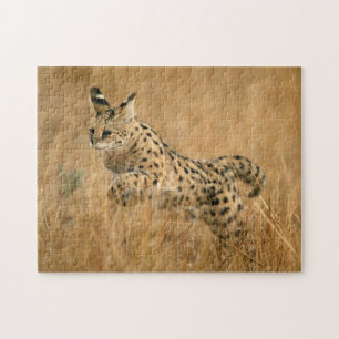 Puzzle Serval (Leptailurus Serval) Saltando