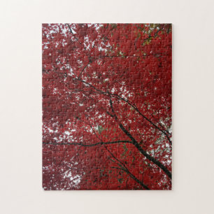 Puzzle Sesión de Caída del Árbol Hojas de Otoño Rojo Marr