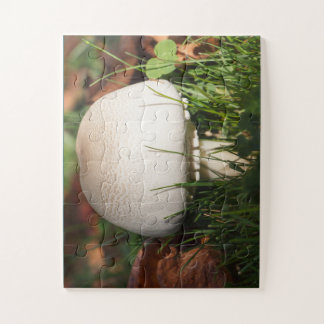 Puzzle Seta de campo en un bosque