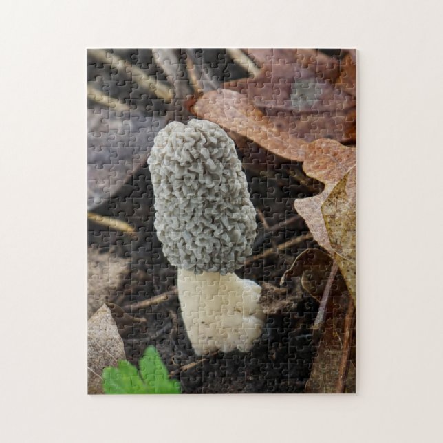 Puzzle Seta de Morel Gris (Vertical)