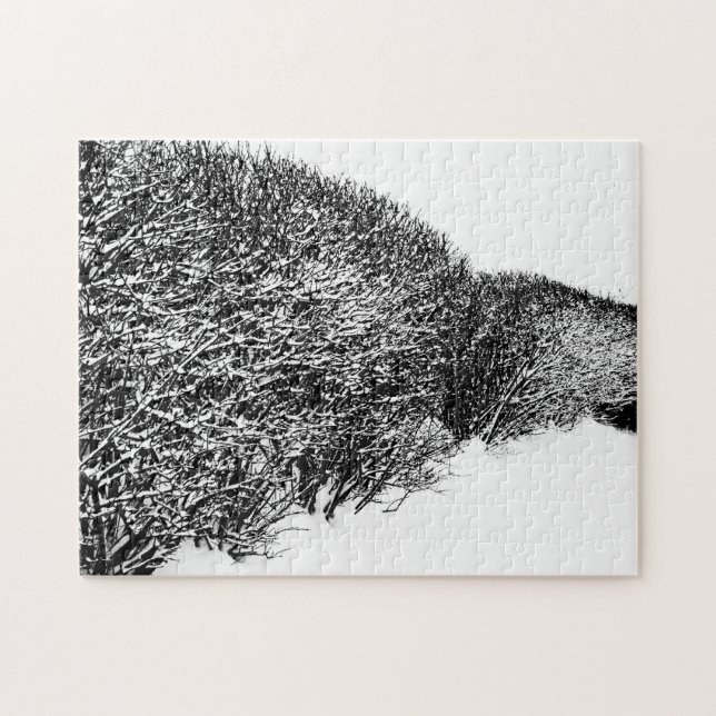 Puzzle seto de invierno (Horizontal)