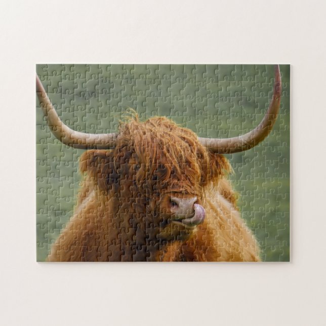 Puzzle Shaggy Haired Scottish Highland Cow Nature Animal (Horizontal)