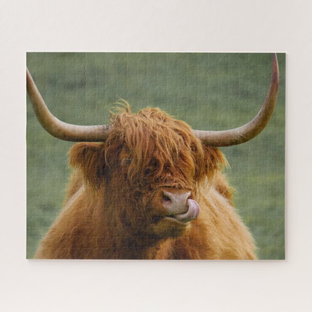 Puzzle Shaggy Haired Scottish Highland Cow Nature Animal (Horizontal)