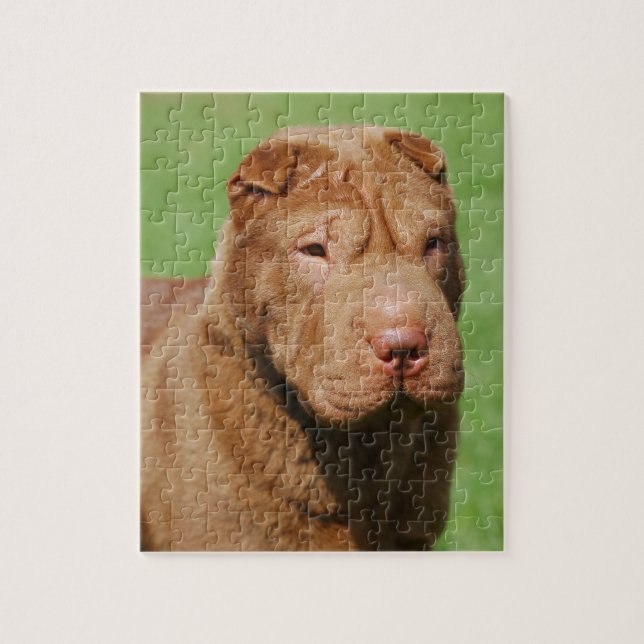 Puzzle Shar Pei (Vertical)