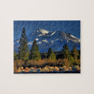 PUZZLE SHASTA 1 DEL SOPORTE