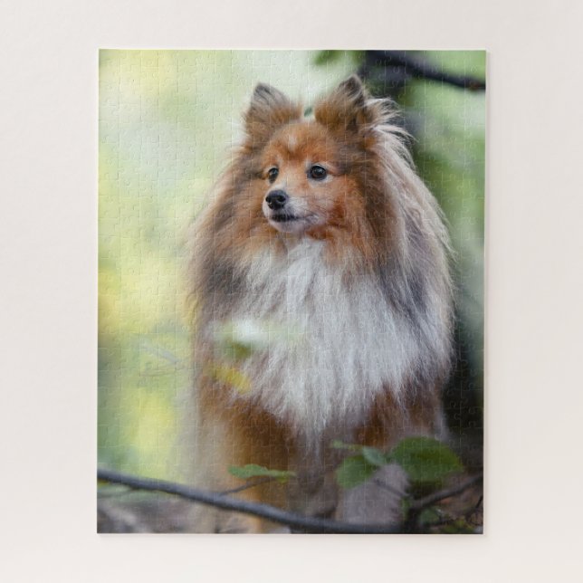 Puzzle Sheepdog Shetland Sheltie perro pequeño en el bosq (Vertical)