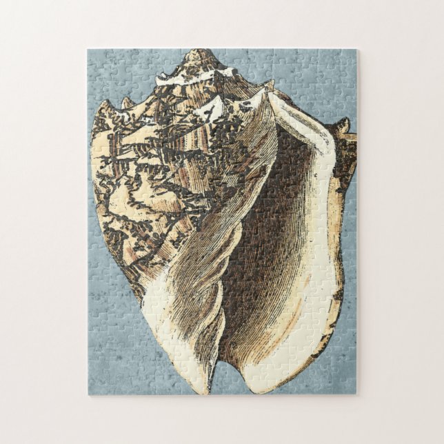Puzzle Shell de conchas encalladas (Vertical)