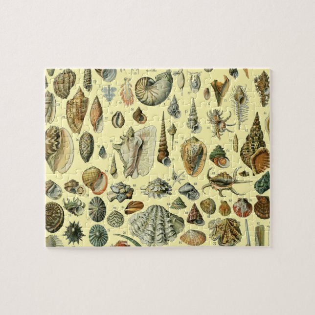 Puzzle Shell de conchas marinas Mollusk Clam Elegante Art (Horizontal)