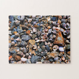 Puzzle Shell desconcierta