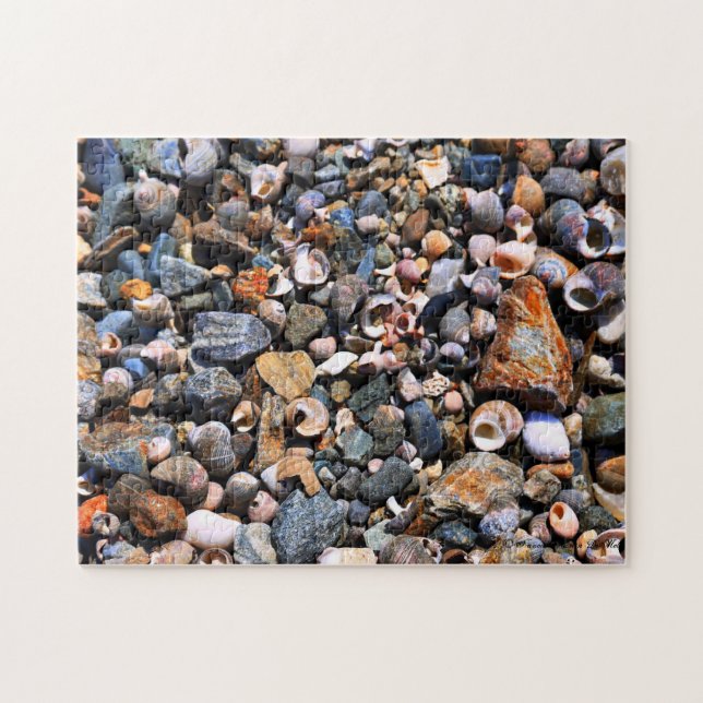 Puzzle Shell desconcierta (Horizontal)