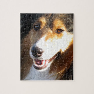 Puzzle Sheltie