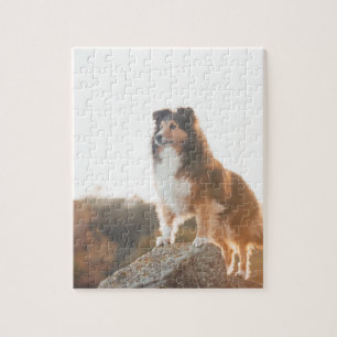 Puzzle Sheltie en la protección del acantilado oída