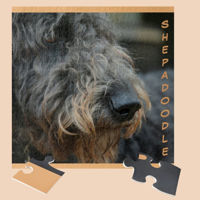 Puzzle Shepadoodle de cerca y personal (Subido por el creador)
